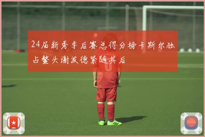 24届新秀季后赛总得分榜卡斯尔独占鳌头谢泼德紧随其后